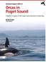Technical Report Orcas in Puget Sound. Prepared in support of the Puget Sound Nearshore Partnership. Birgit Kriete Orca Relief