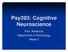 Psy393: Cognitive Neuroscience. Prof. Anderson Department of Psychology Week 3