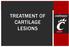 TREATMENT OF CARTILAGE LESIONS
