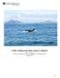 Killer whales and their prey in Iceland