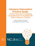 Intensive Intervention Practice Guide: