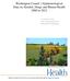 Washington County s Epidemiological Data on Alcohol, Drugs and Mental Health 2000 to 2012