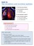 Unit 4: The circulatory and excretory systems