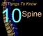 25 Things To Know. Spine