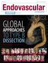 GLOBAL TO TYPE B DISSECTION APPROACHES. Volume 4, No. 1. CHUN-CHE SHIH, MD, PhD. CHRISTOPH A. NIENABER, MD, PhD HUNG-LUNG HSU, MD MICHAEL D.