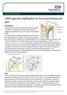 LARS ligament stabilisation for the acromioclavicular joint