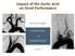 Impact of the Aortic Arch on Stent Performance