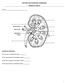 ANATOMY AND PHYSIOLOGY HOMEWORK CHAPTER 15 AND 16