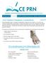 CE Prn. Pharmacy Continuing Education from WF Professional Associates ABOUT WFPA LESSONS TOPICS ORDER CONTACT MCA EXAM REVIEWS
