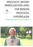 PROSTATIC ARTERY EMBOLISATION (PAE) FOR BENIGN PROSTATIC HYPERPLASIA. A Minimally Invasive Innovative Treatment