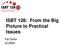 ISBT 128: From the Big Picture to Practical Issues. Pat Distler ICCBBA