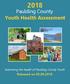 Paulding County Youth Health Assessment