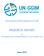 Global Geospatial Information Management (UN-GGIM) PROGRESS REPORT. For 7th UN-GGIM Expert Committee Meeting, NY, July 31-August 4, 2017