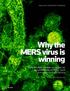 Why the MERS virus is winning. Some Western scientists say people are dying needlessly of MERS. Saudi authorities say that s not true