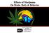 Effects of Marijuana On Brain, Body & Behavior. Nora D. Volkow, M.D. Director