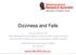 Dizziness and Falls. NSW Falls Prevention Network Webinar 24 th July 2018