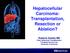Hepatocellular Carcinoma: Transplantation, Resection or Ablation?
