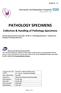PATHOLOGY SPECIMENS. Collection & Handling of Pathology Specimens