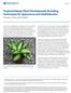 Tropical Foliage Plant Development: Breeding Techniques for Aglaonema and Dieffenbachia 1