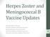 Herpes Zoster and Meningococcal B Vaccine Updates
