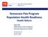 Tennessee Flex Program Population Health Readiness Health Reform