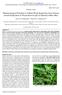 Pharmacological Potential of Asthma Weed (Euphorbia hirta) Extract toward Eradication of Plasmodium berghei in Infected Albino Mice