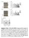 Supplementary Figure 1. TNFα reduces BMPR-II protein and mrna expression via NF-кB/RELA. (a and b) Representative immunoblots of BMPR-II in human