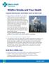 Wildfire Smoke and Your Health