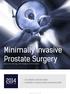 Minimally Invasive Prostate Surgery Department of Urology, Centro Hospitalar do Porto presents: