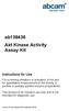 ab Akt Kinase Activity Assay Kit