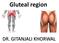 Gluteal region DR. GITANJALI KHORWAL