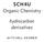 SCH4U Organic Chemistry. hydrocarbon derivatives. mitchell kember