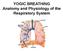 YOGIC BREATHING Anatomy and Physiology of the Respiratory System