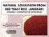 NATURAL LOVASTATIN FROM RED YEAST RICE (ANGKAK):