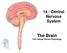 14 - Central Nervous System. The Brain Taft College Human Physiology