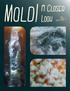 Mold! A Closer. Look. Photos and Article by Alexander Hannan