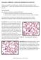 EDUCATIONAL COMMENTARY MORPHOLOGIC ABNORMALITIES IN LEUKOCYTES