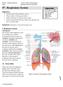 #7 - Respiratory System