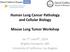 Human Lung Cancer Pathology and Cellular Biology Mouse Lung Tumor Workshop