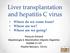 Liver transplantation and hepatitis C virus