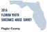 2016 FLORIDA YOUTH SUBSTANCE ABUSE SURVEY. Flagler County