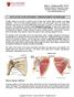 ROTATOR CUFF INJURIES / IMPINGEMENT SYNDROME