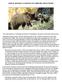 GENETIC ADEQUACY of GREATER YELLOWSTONE GRIZZLY BEARS