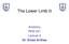 The Lower Limb II. Anatomy RHS 241 Lecture 3 Dr. Einas Al-Eisa