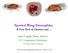 Spotted Wing Drosophila: A New Pest of Cherries and