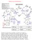 Methyl Cycle NutriGenomics