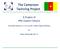 The Cameroon Twinning Project