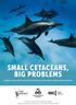 SMALL CETACEANS, BIG PROBLEMS. A global review of the impacts of hunting on small whales, dolphins and porpoises