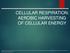 CELLULAR RESPIRATION: AEROBIC HARVESTING OF CELLULAR ENERGY Pearson Education, Inc.