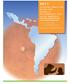 CLINICAL PRACTICE GUIDE FOR DIABETIC RETINOPATHY FOR LATIN AMERICA: FOR OPHTHALMOLOGISTS AND HEALTHCARE PROFESSIONALS